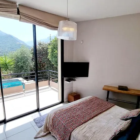 Maison Moderne Avec Piscine Centre Corse Villa *